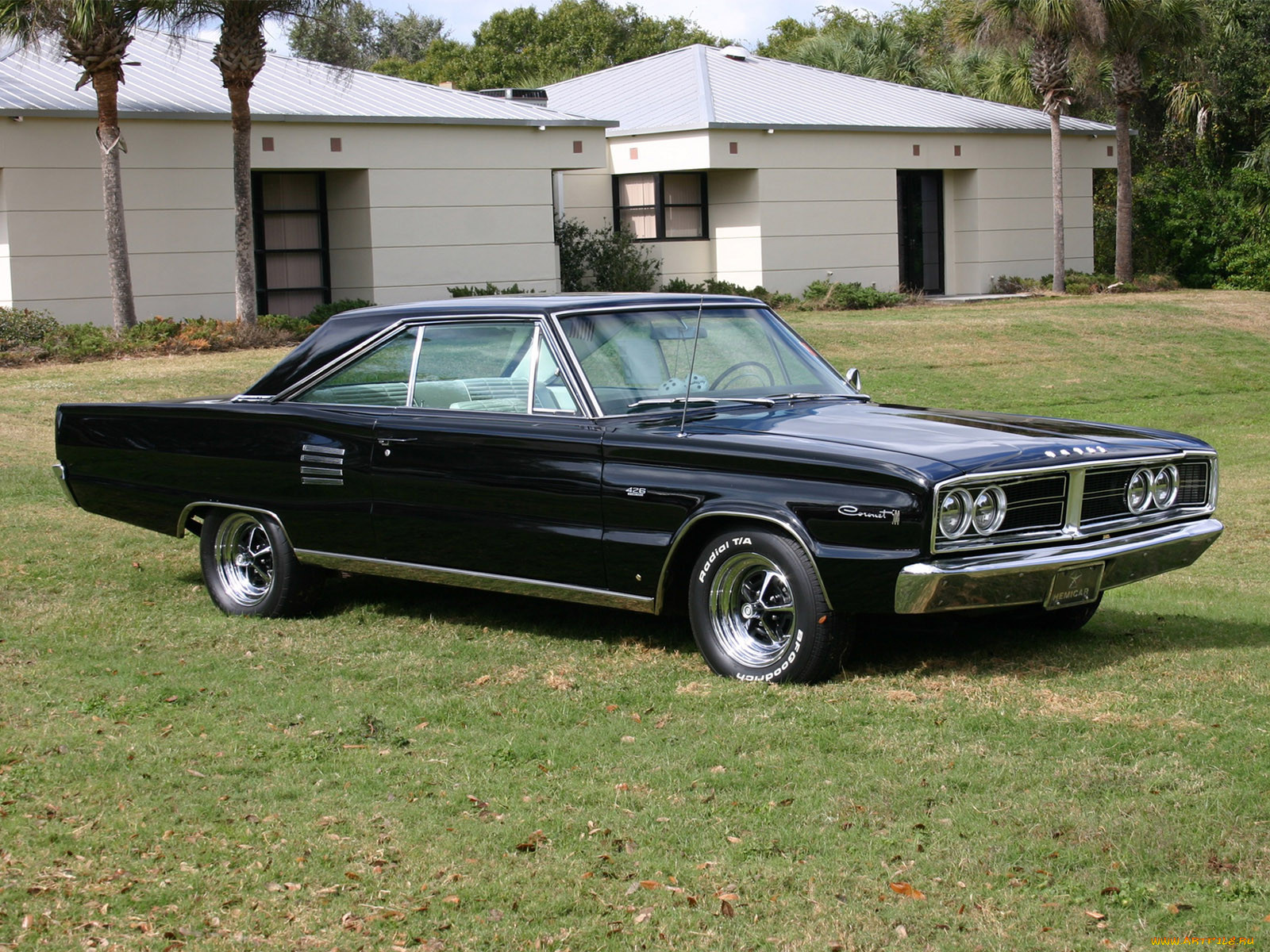 , dodge